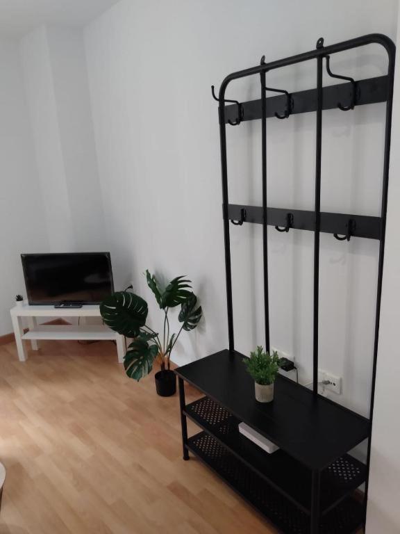 Cdz - San Telmo, Apartamentos Con Terraza Cádiz Exteriör bild