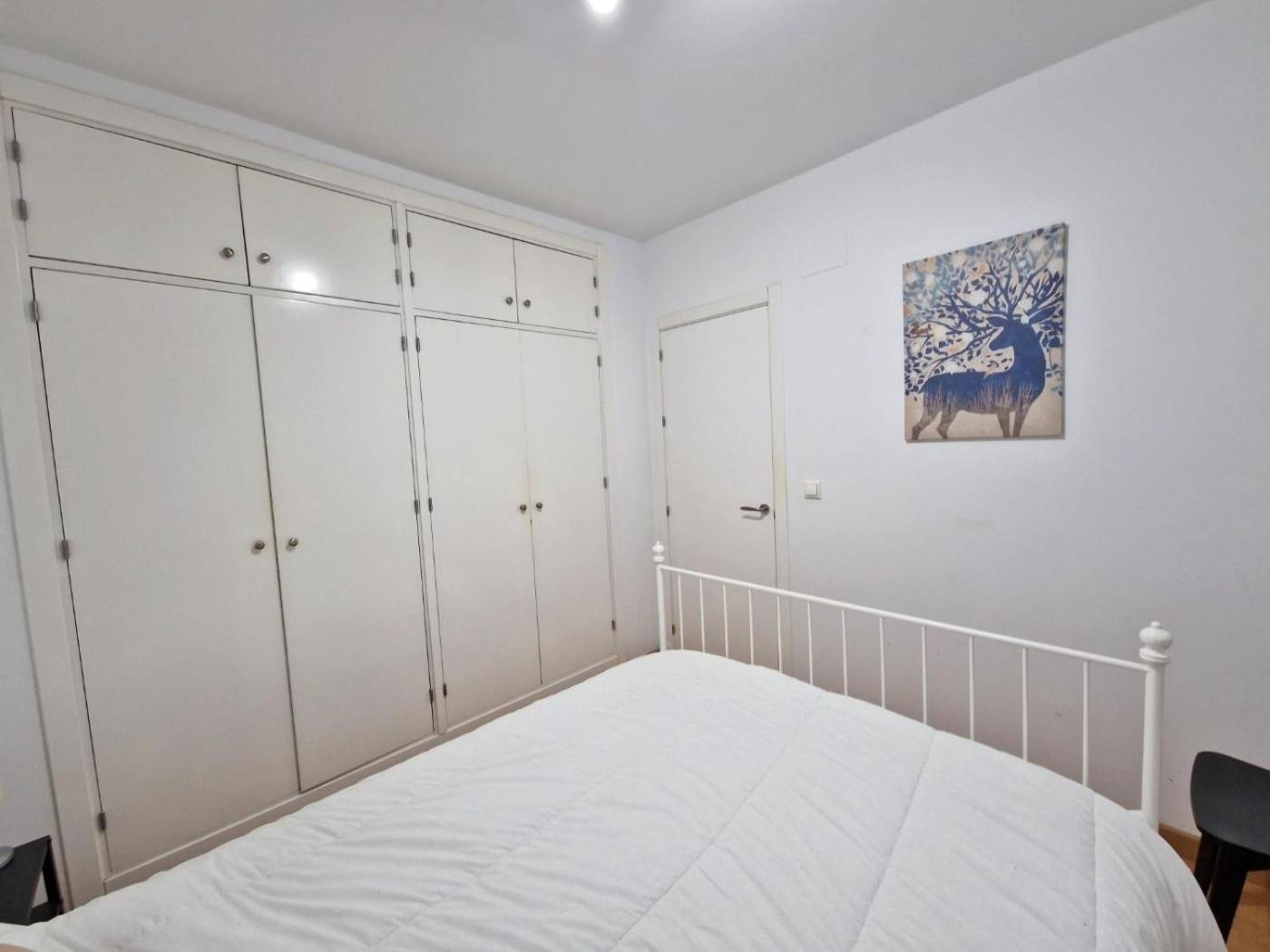 Cdz - San Telmo, Apartamentos Con Terraza Cádiz Exteriör bild